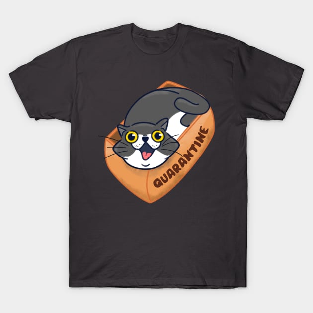 Cat Inside a Cardboard Box T-Shirt by UltraMelon